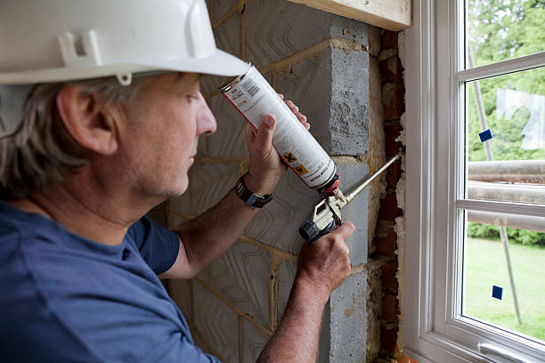 Best Local Insulation Services  in Hamton, IL